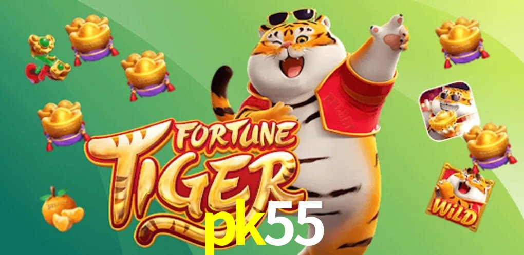 Player Reviews pk55