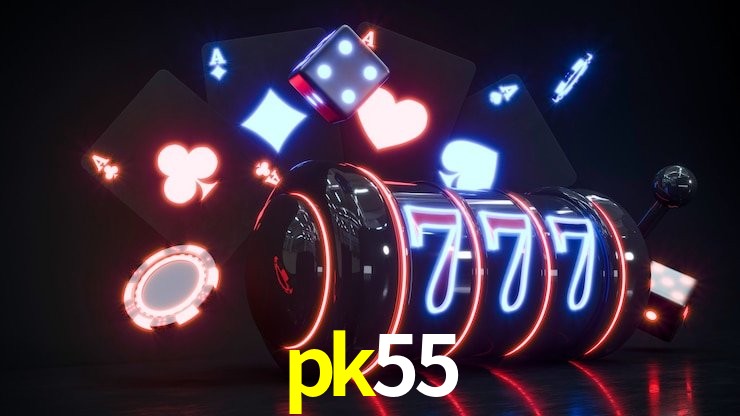 Experiência VIP pk55